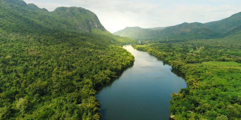 Selva